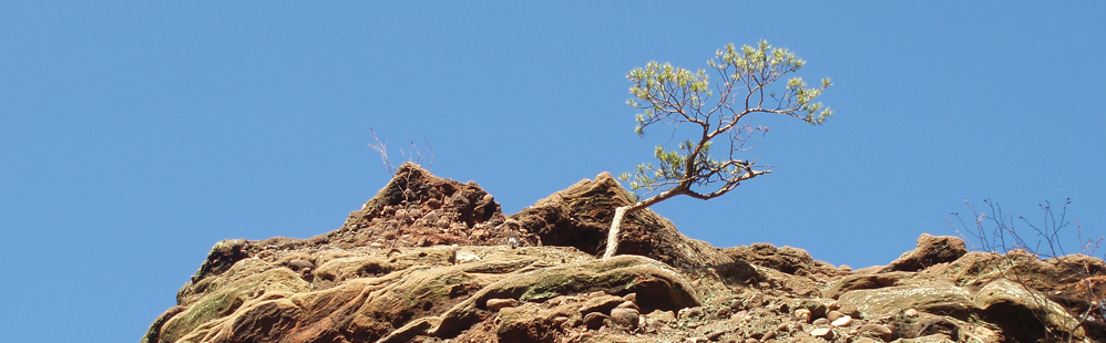 Leiderschap in beweging, interview Leadership & MVO